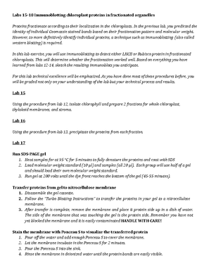 Lab report template - Cell Staining Date: 1/28/ Name: Brionna Herron ...
