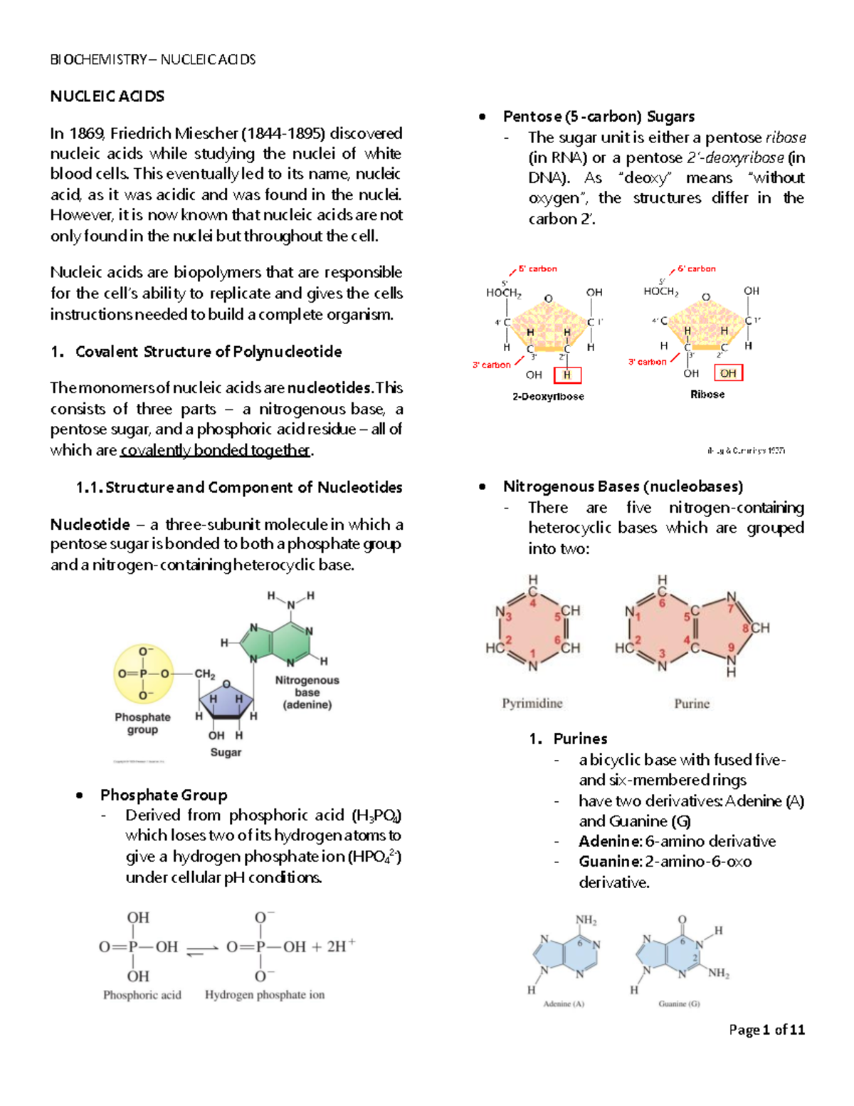 Biochemistry Nucleic Acids TENG NUCLEIC ACIDS In 1869, Friedrich