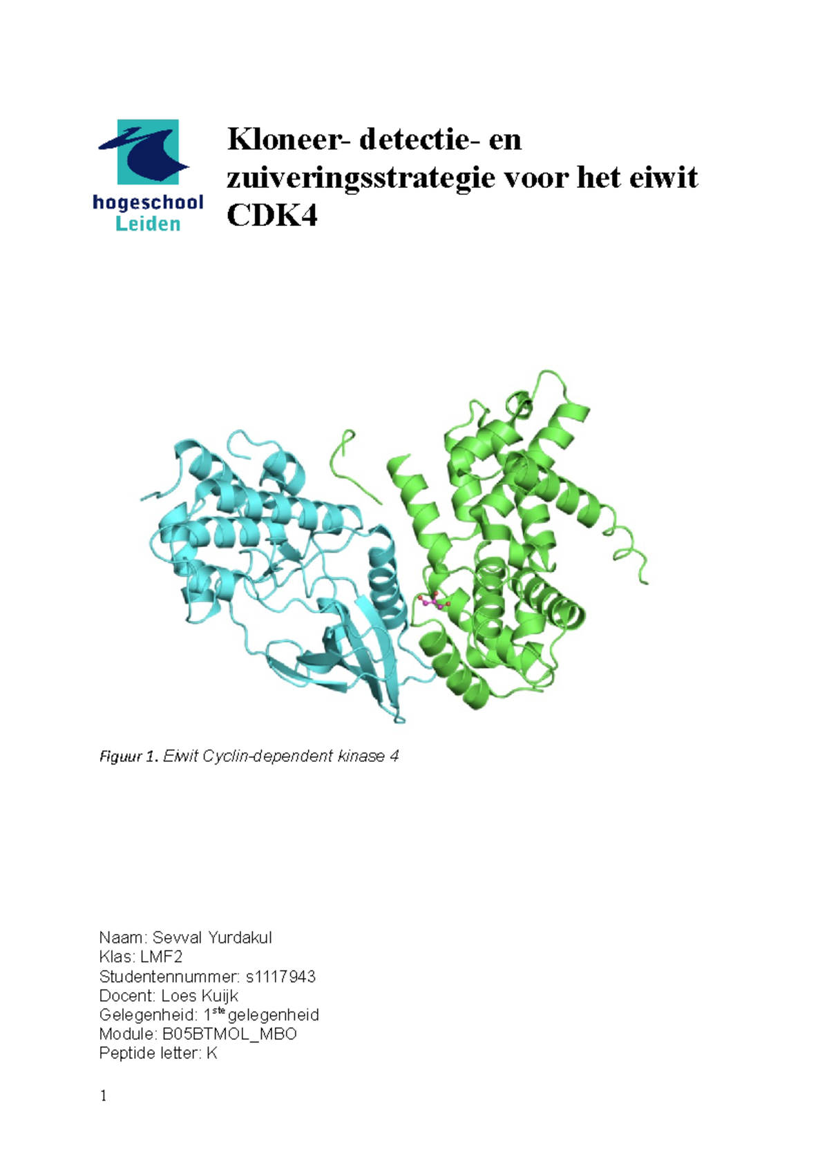 Mbo Verslag Peptide Kloneer Detectie En Zuiveringsstrategie Voor Het Eiwit Cdk Figuur 1 Eiwit Studeersnel