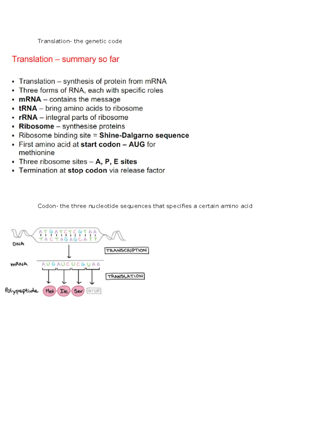Translation-genetic code - Translation- the genetic code Codon- the ...