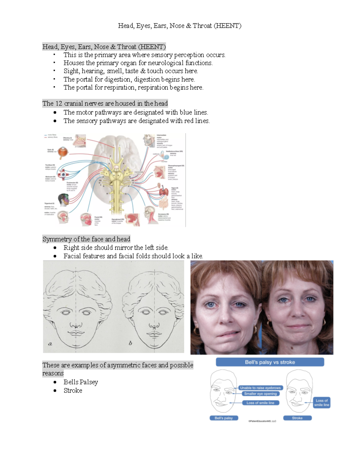 Heent Pt1 - Head, Eyes, Ears, Nose & Throat (HEENT) Head, Eyes, Ears ...