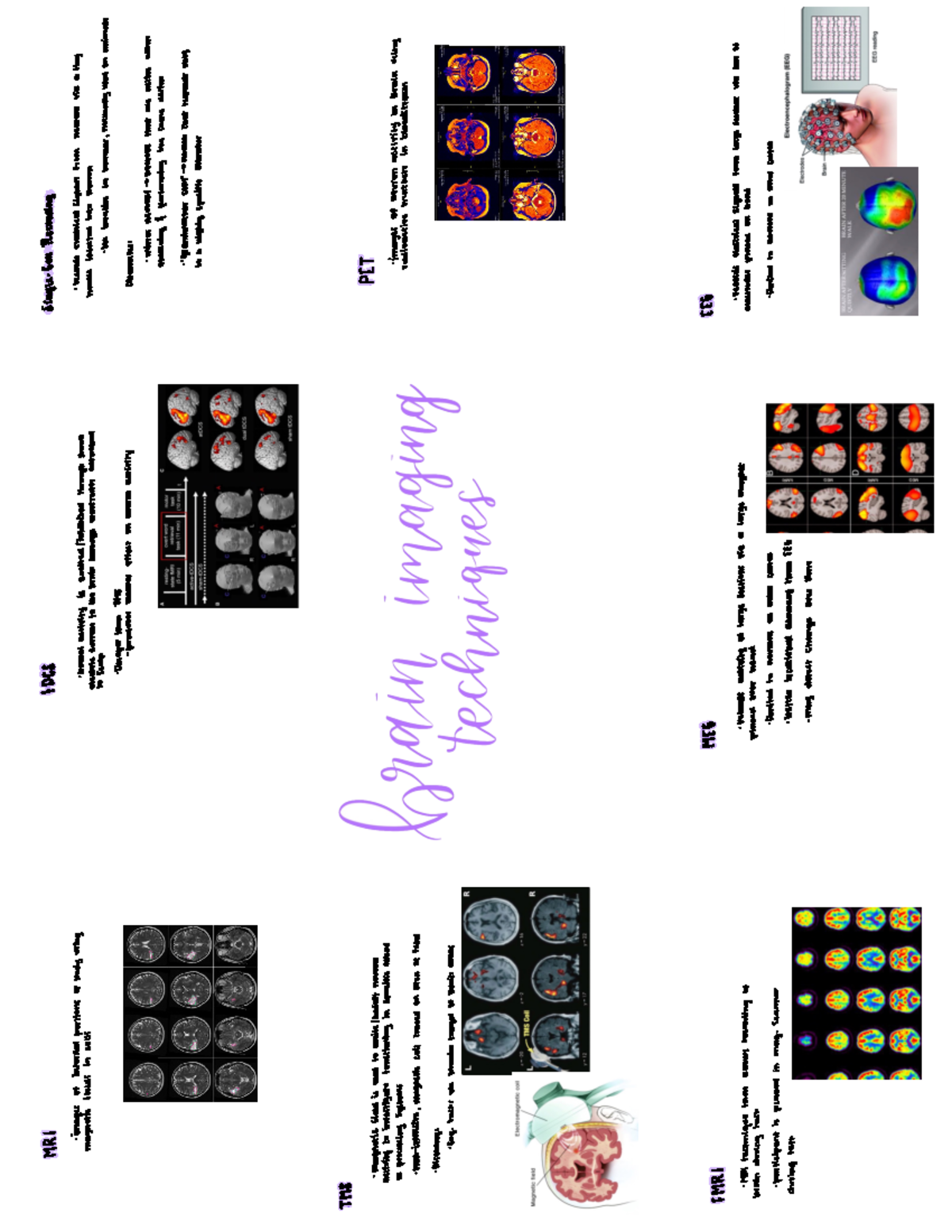 Brain imaging techniques - É is E o s s 5 3 ¥ s É ####### É ç É J S § É ...