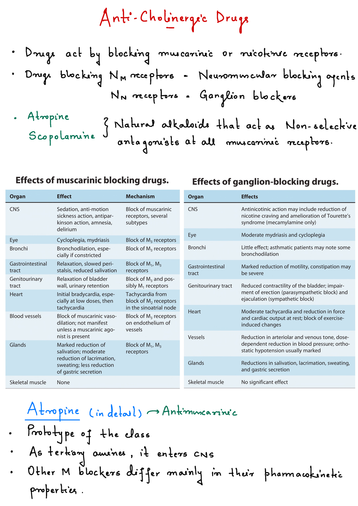 Anticholinergic Drugs - Anti Cholinergic Drugs ° Drugs Act By Blocking ...