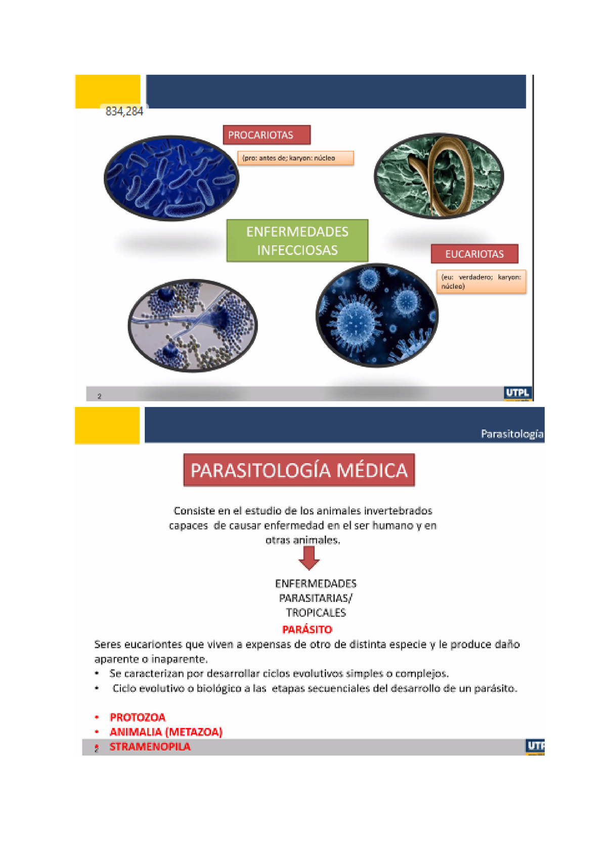 Parasitología Slides sobre su clasificación Parasitología Studocu
