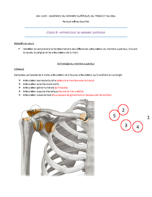 [Solved] Pourraistu me crer un quiz qui porte sur la myologie et ...