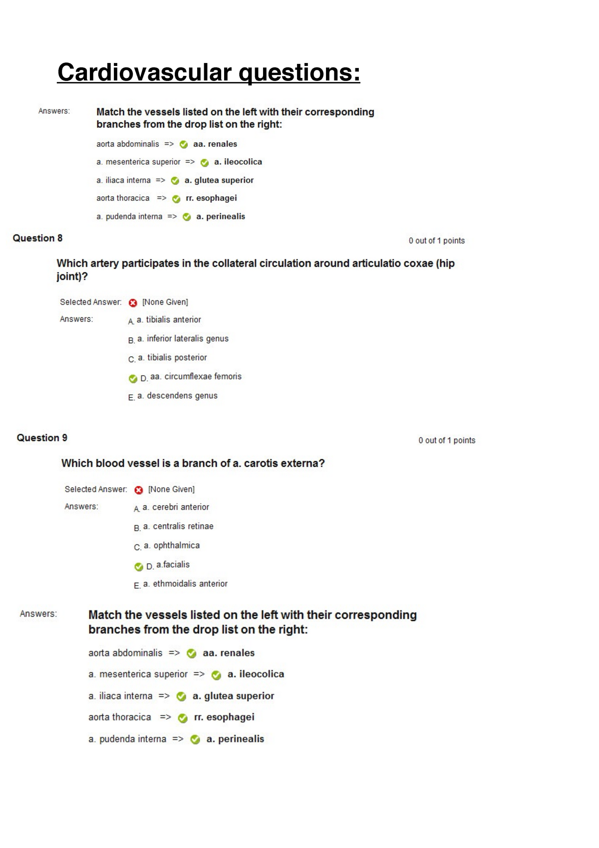 critical thinking questions on the cardiovascular system