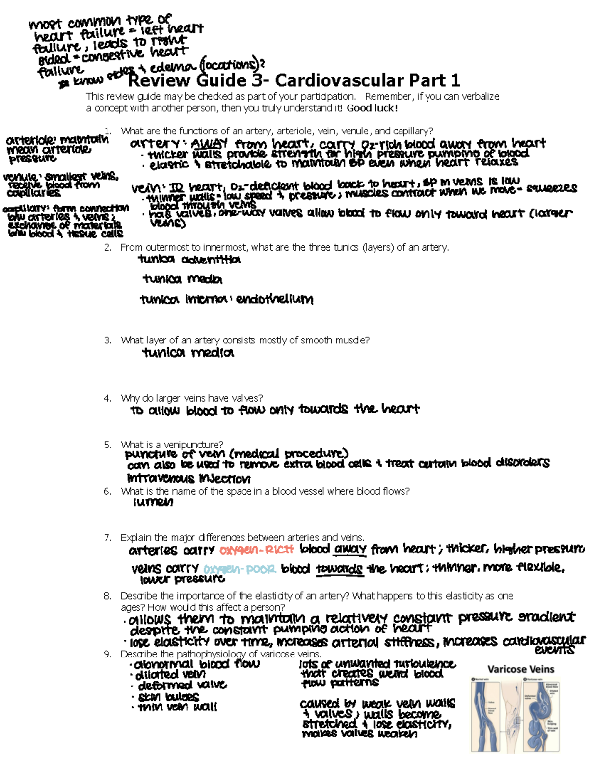 Review Guide Exam 2 - Cardiovascular Parts 1 2 - Review Guide 3 ...