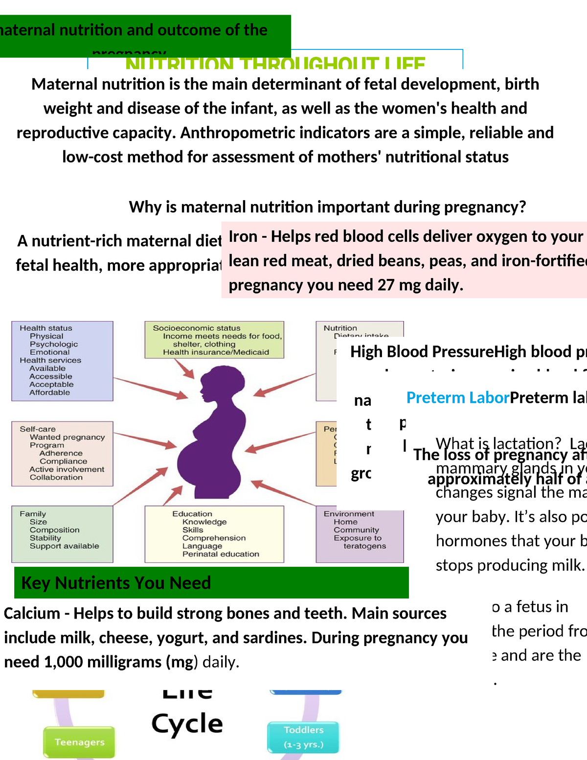 Nutrition Throughout Life Cycle - NUTRITION THROUGHOUT LIFE CYCLE ...