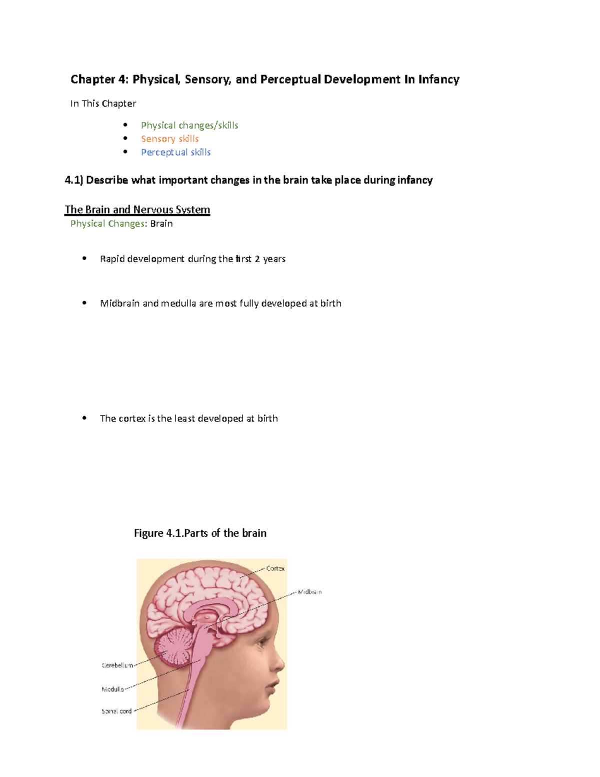 Cours 11-Chapter 4 - Lecture Notes 1 - Chapter 4: Physical, Sensory ...