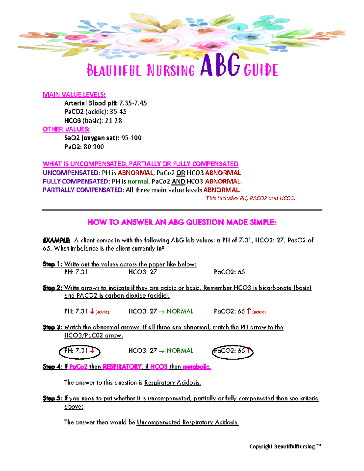 ABG Study Guide For Fundamentals Of Nursing - NR-224 - Chamberlain ...