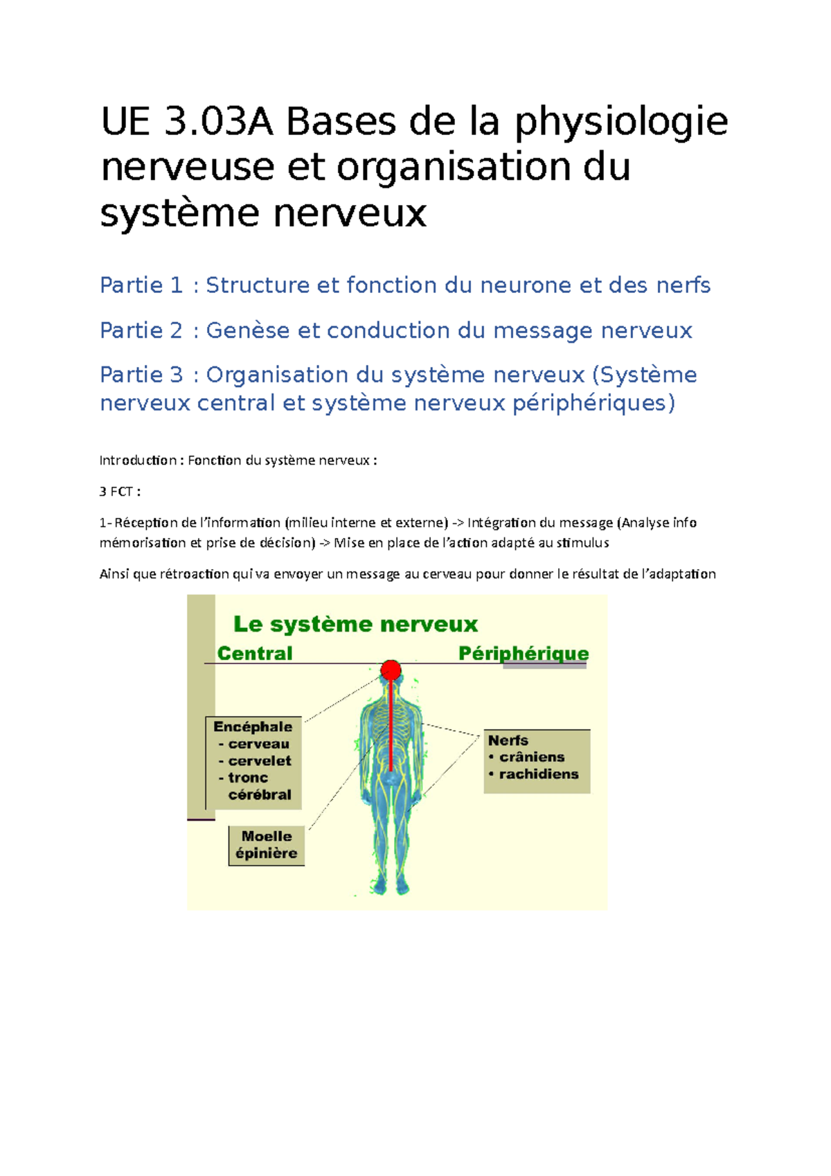 UE 3.03A Physio Nerveuse 1 - UE 3 Bases De La Physiologie Nerveuse Et ...