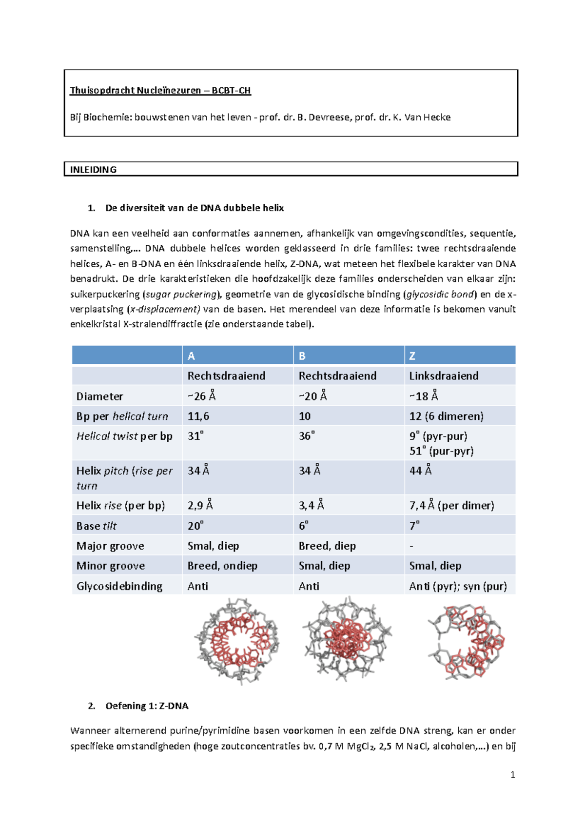 Thuisopdracht nucleïnezuren BCBT CH - 1 Thuisopdracht Nucleïnezuren ...