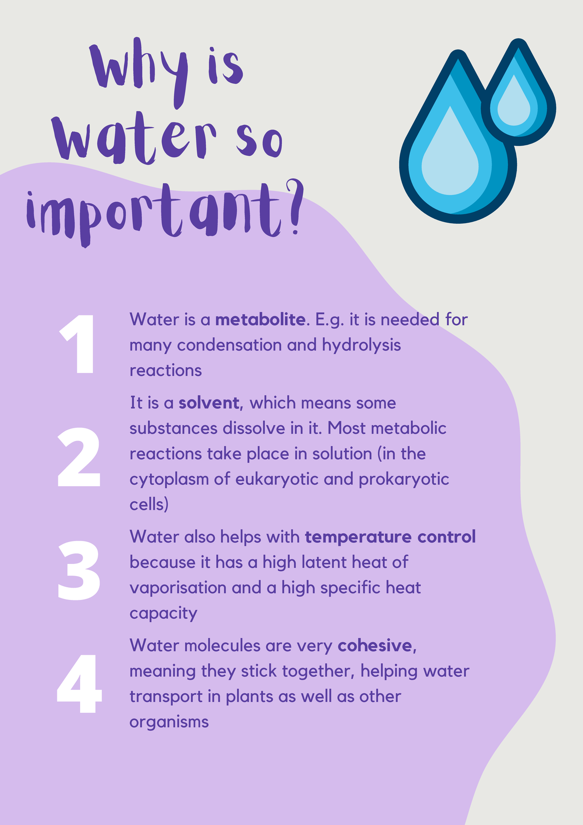 Why is Water so important Why is Water so important? 1 2 3 4 Water is
