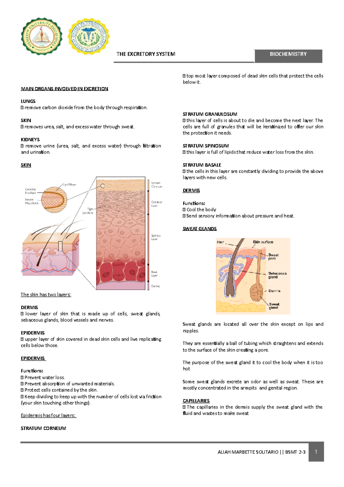 Biochem-THE- Excretory- Sytem - THE EXCRETORY SYSTEM BIOCHEMISTRY MAIN ...