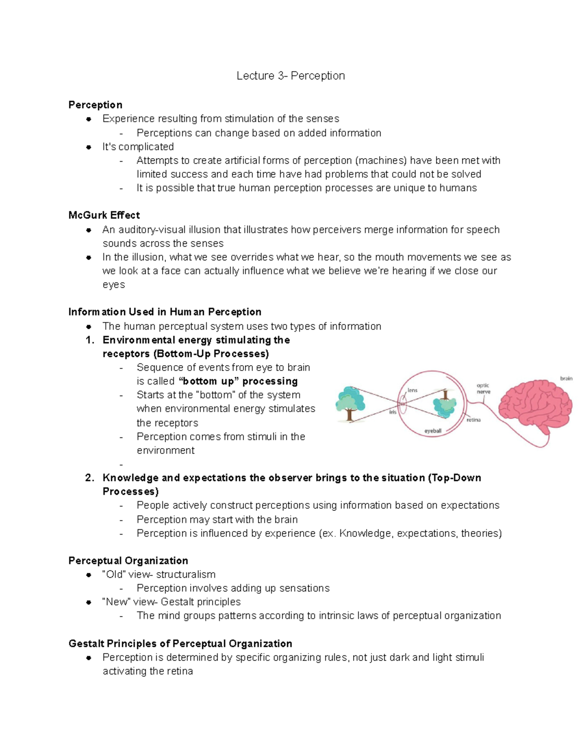 Lecture 3 Notes - Dr. Lina Deker - Lecture 3- Perception Perception ...
