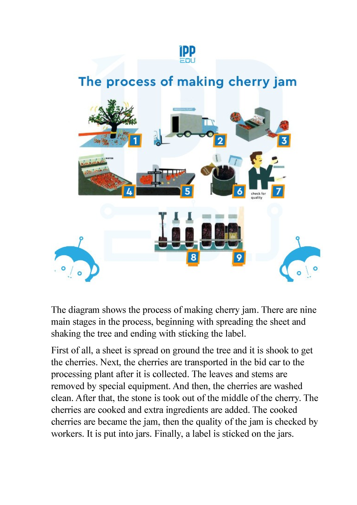 Cherries - The diagram shows the process of making cherry jam. There ...