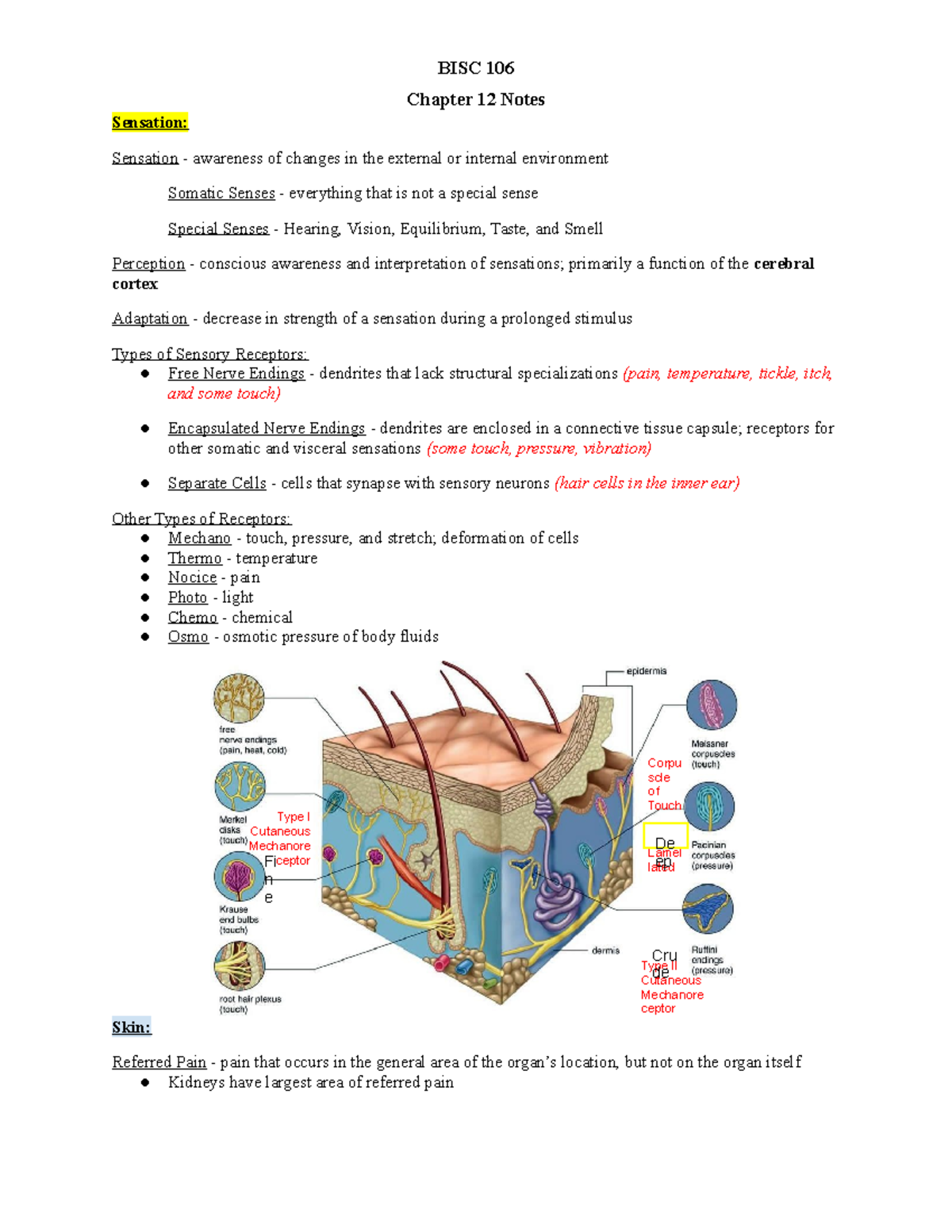 Ch 12 Notes Aldred Williams Chapter 12 Notes Sensation Sensation awareness of changes in