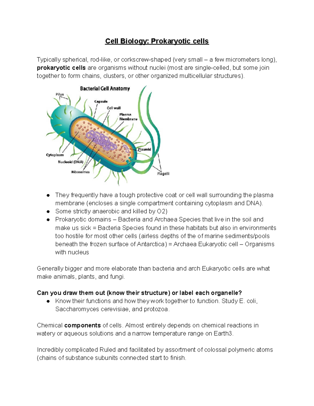 Cell Biology Prokaryotic cells - Cell Biology: Prokaryotic cells ...