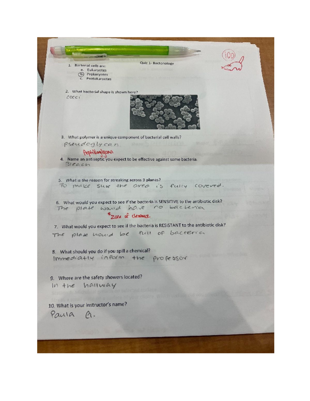 Quiz 1 Bio 2 Lab - BIOL 1107 - Studocu