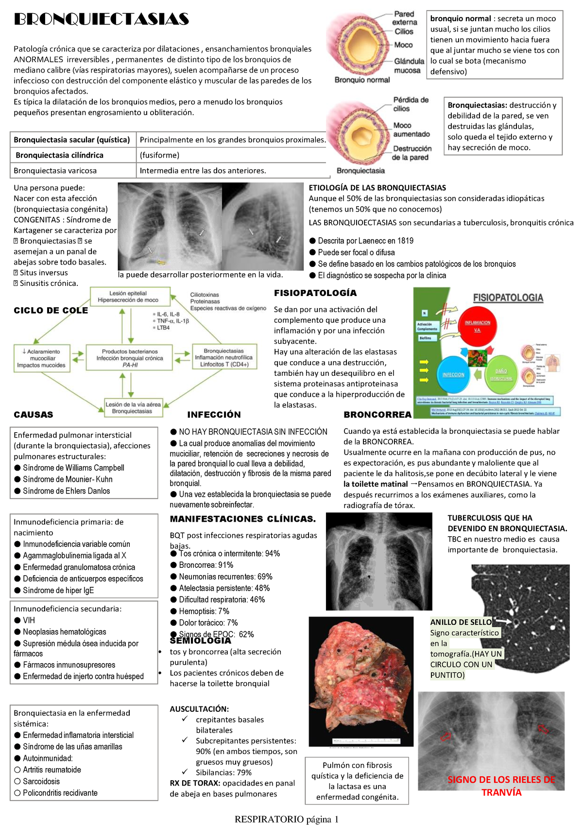 Bronquiectasias - Concepto, Tipos, Fisiología - PatologÌa CrÛnica Que ...