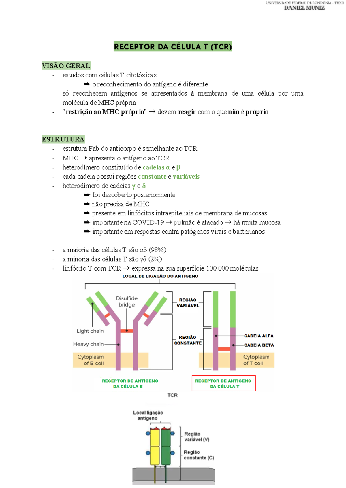 Receptor DA Célula T (TCR) - RECEPTOR DA CÉLULA T (TCR) VISÃO GERAL ...