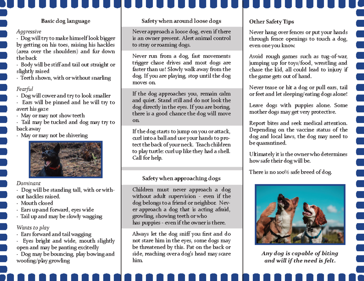 Dog Safety Brochure Very Cute Dogs How To Stay Safe From Dogs - Other 