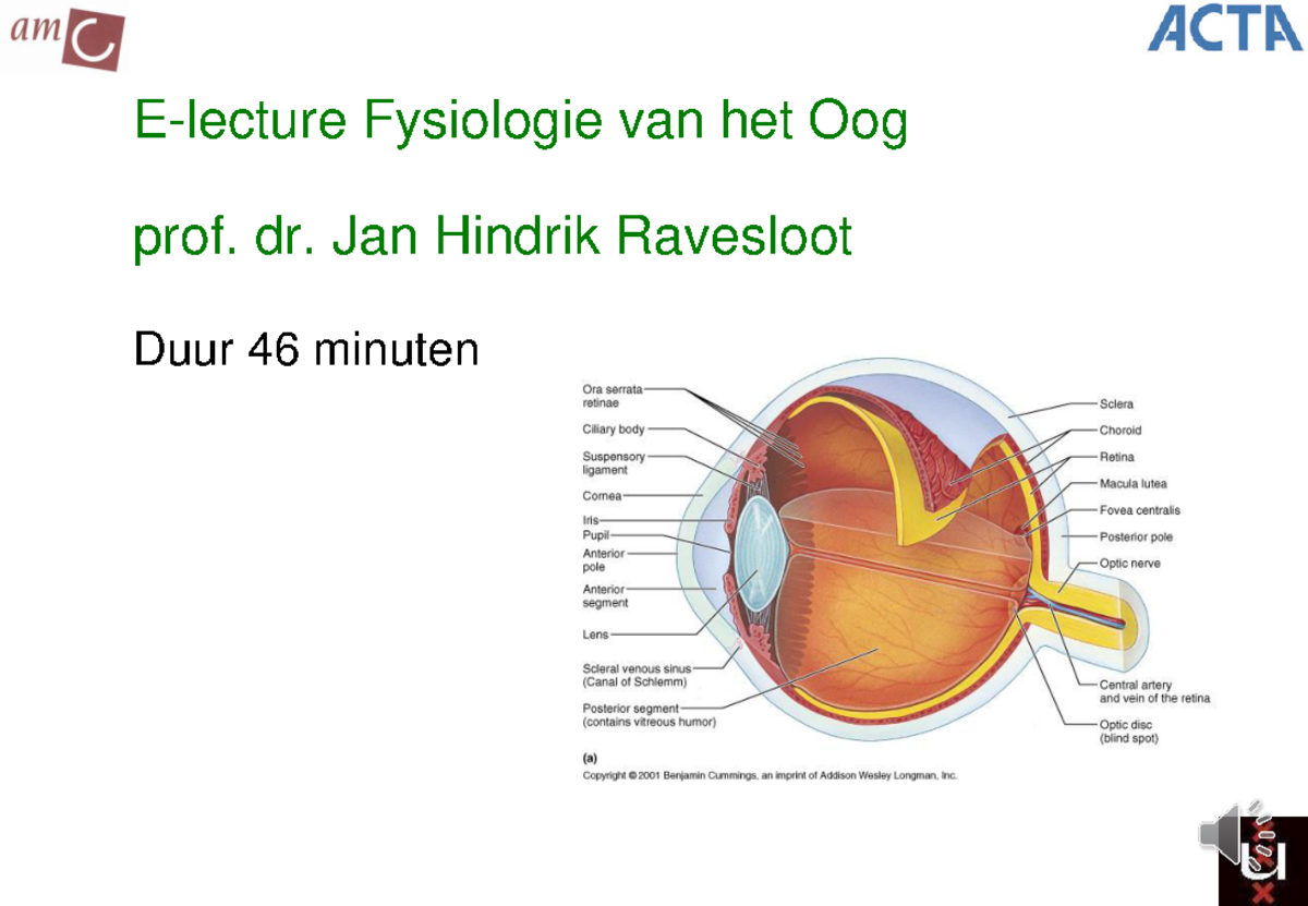 001 BB Pre Oog E Lecture Oogfysiologie - E-lecture Fysiologie Van Het ...