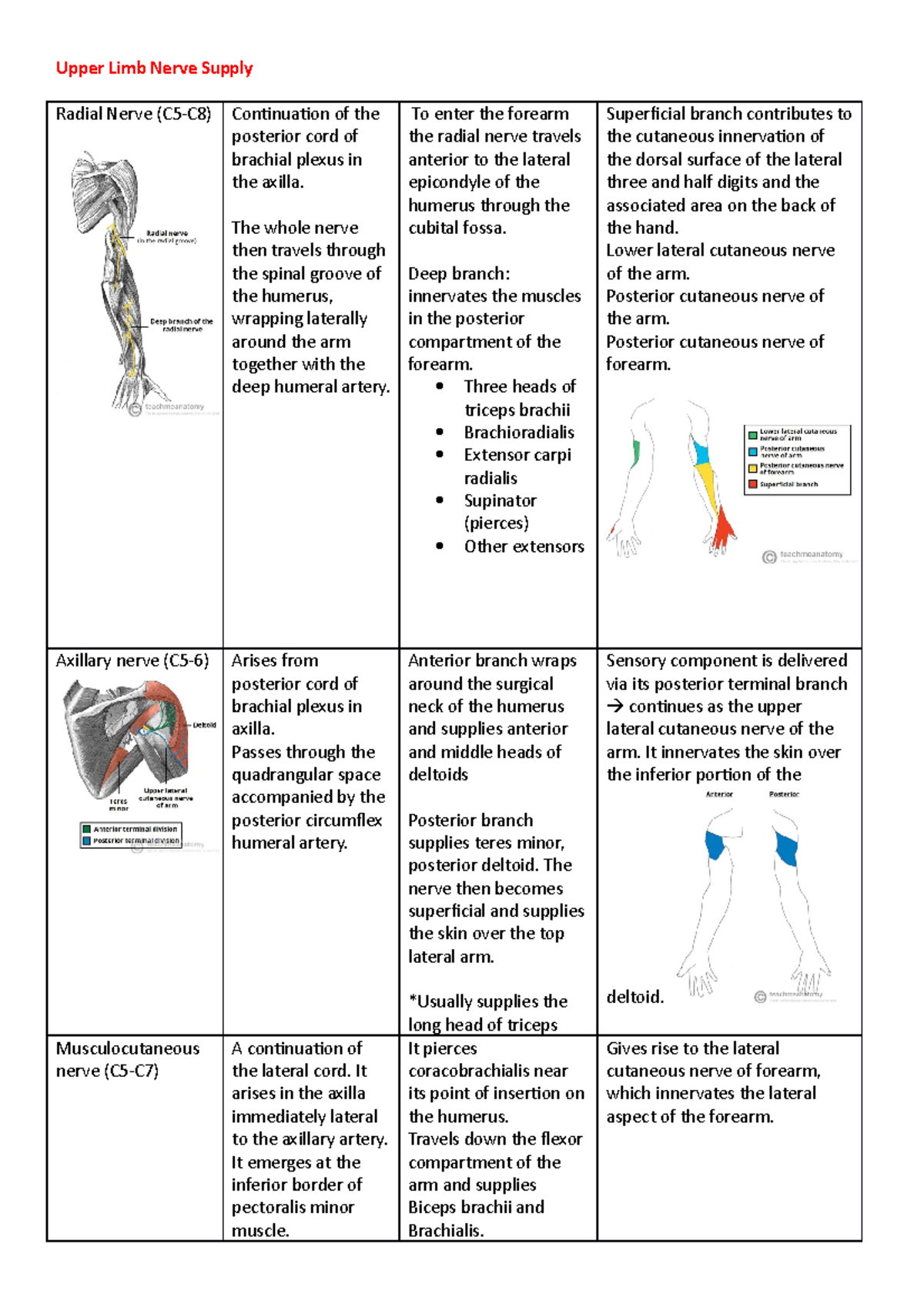 Upper Limb Nerve Supply - Upper Limb Nerve Supply Radial Nerve (C5-C8 ...