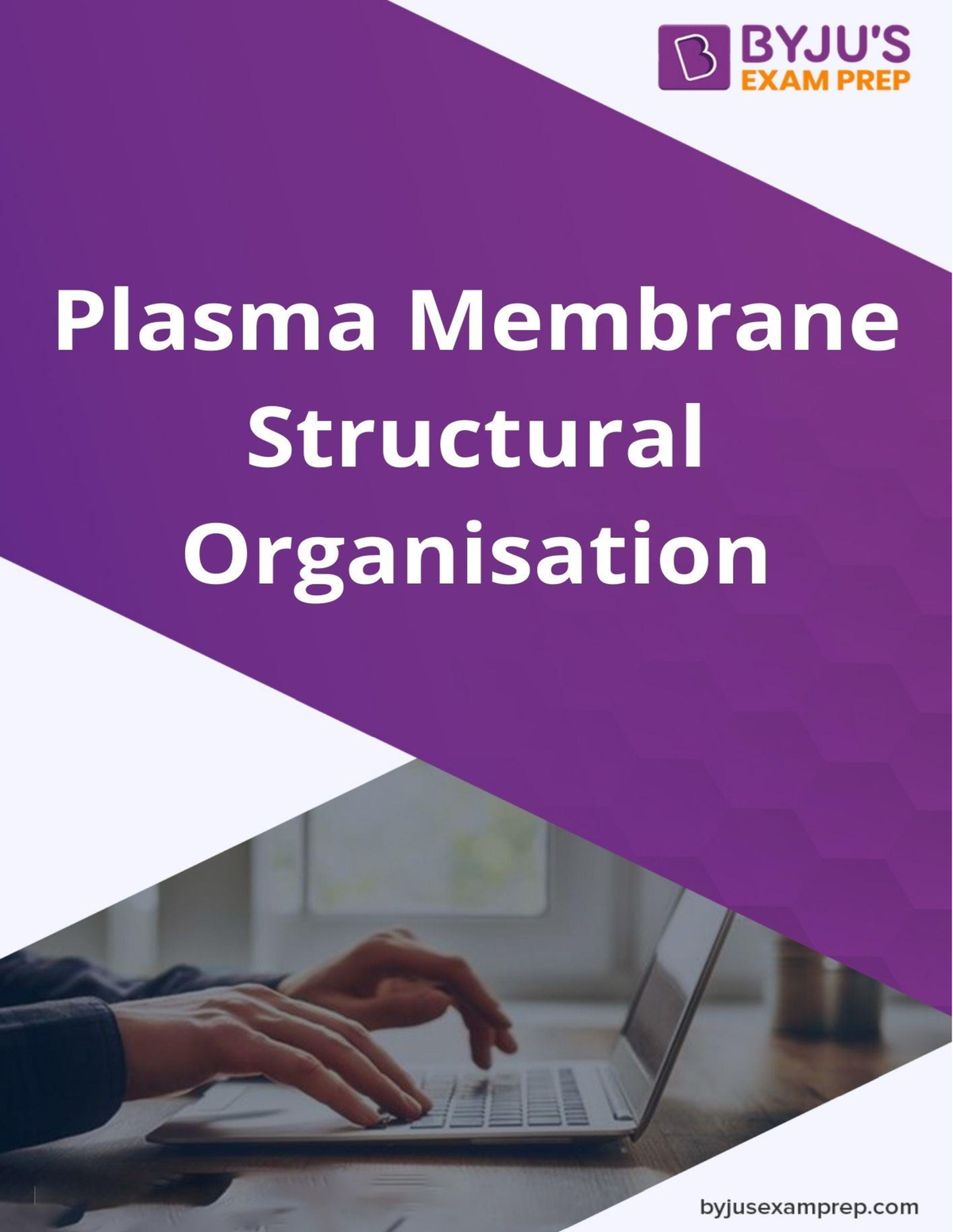 10-structure-of-plasma-membrane-and-its-different-models