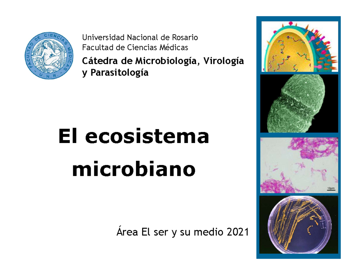 Microbiología Taxonomía power - El ecosistema microbiano Universidad ...