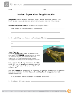 Frog Dissection SE - Easy - Name: Date: Student Exploration: Frog Dissection  Vocabulary: anatomy, - Studocu