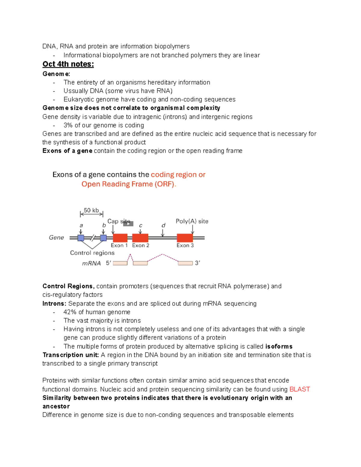 BIOL 200 OCT 4th and Oct 23rd notes - DNA, RNA and protein are ...