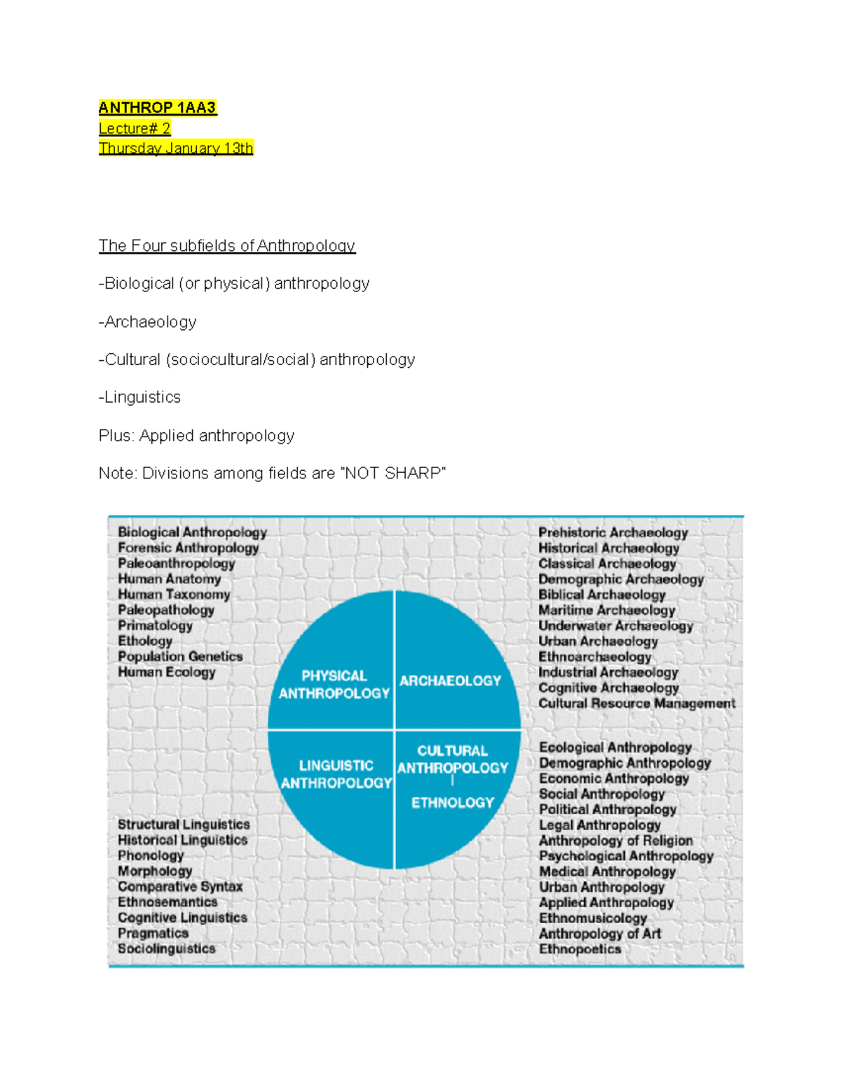 Anthrop 1AA3-Lec - Lecture notes 2 weeks before midterm - ANTHROP 1AA ...