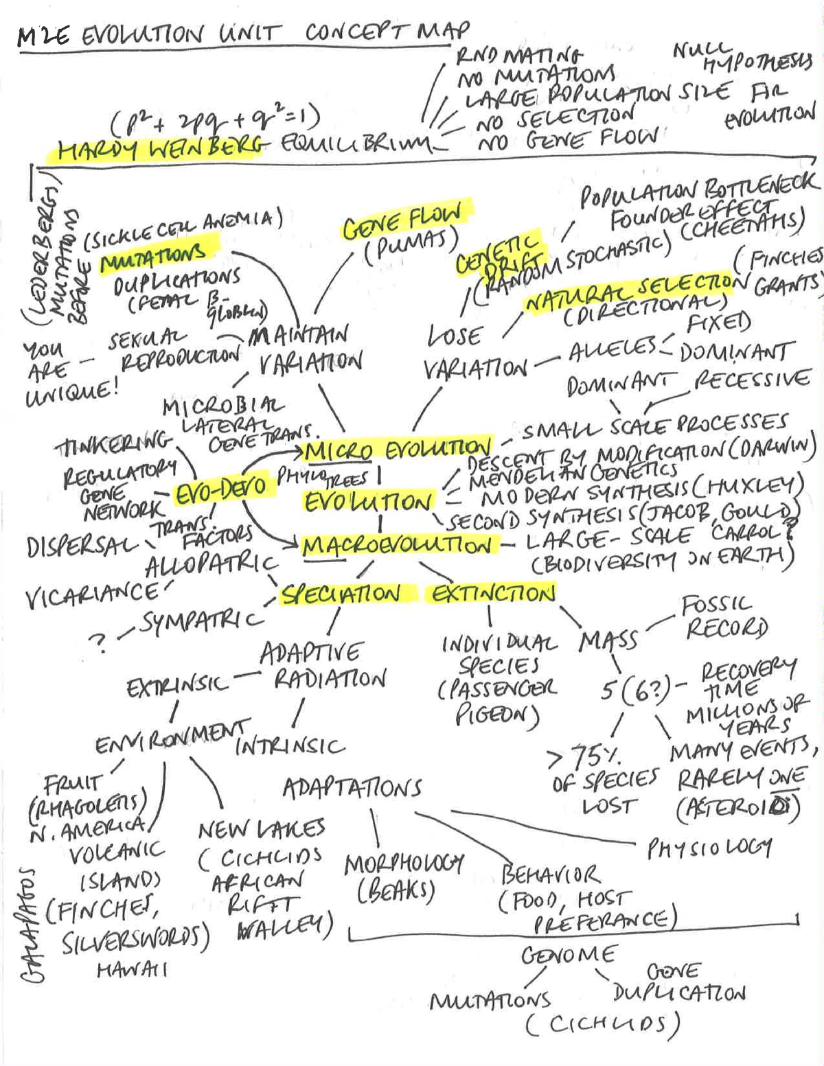 Evolution Concept Map - BIOS 10172 - Studocu