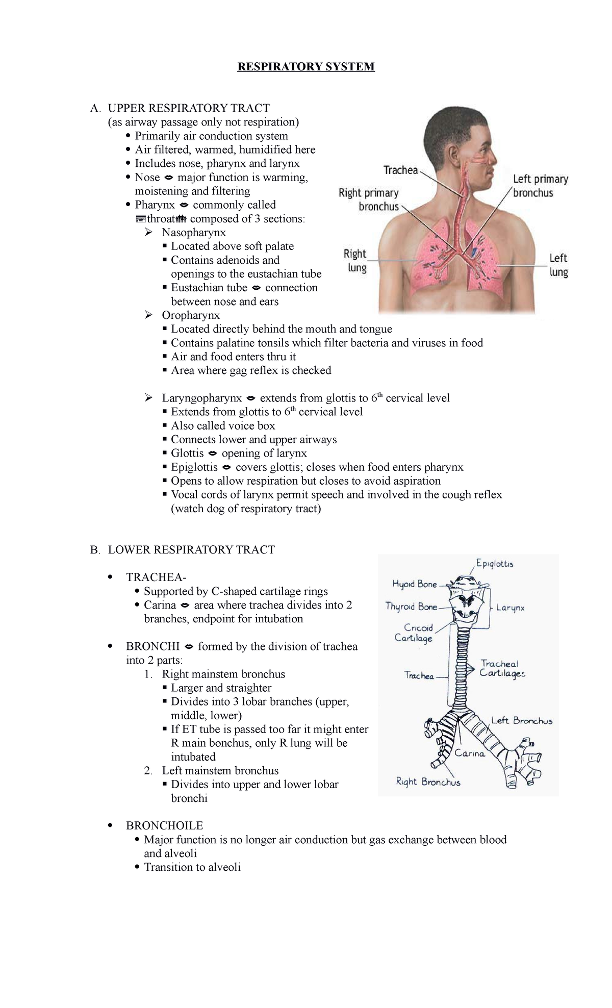 Medsurg- Respiratory - N/A - RESPIRATORY SYSTEM A. UPPER RESPIRATORY ...