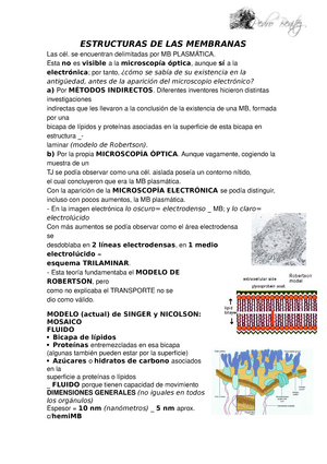 Estructuras De Las Membranas Studocu