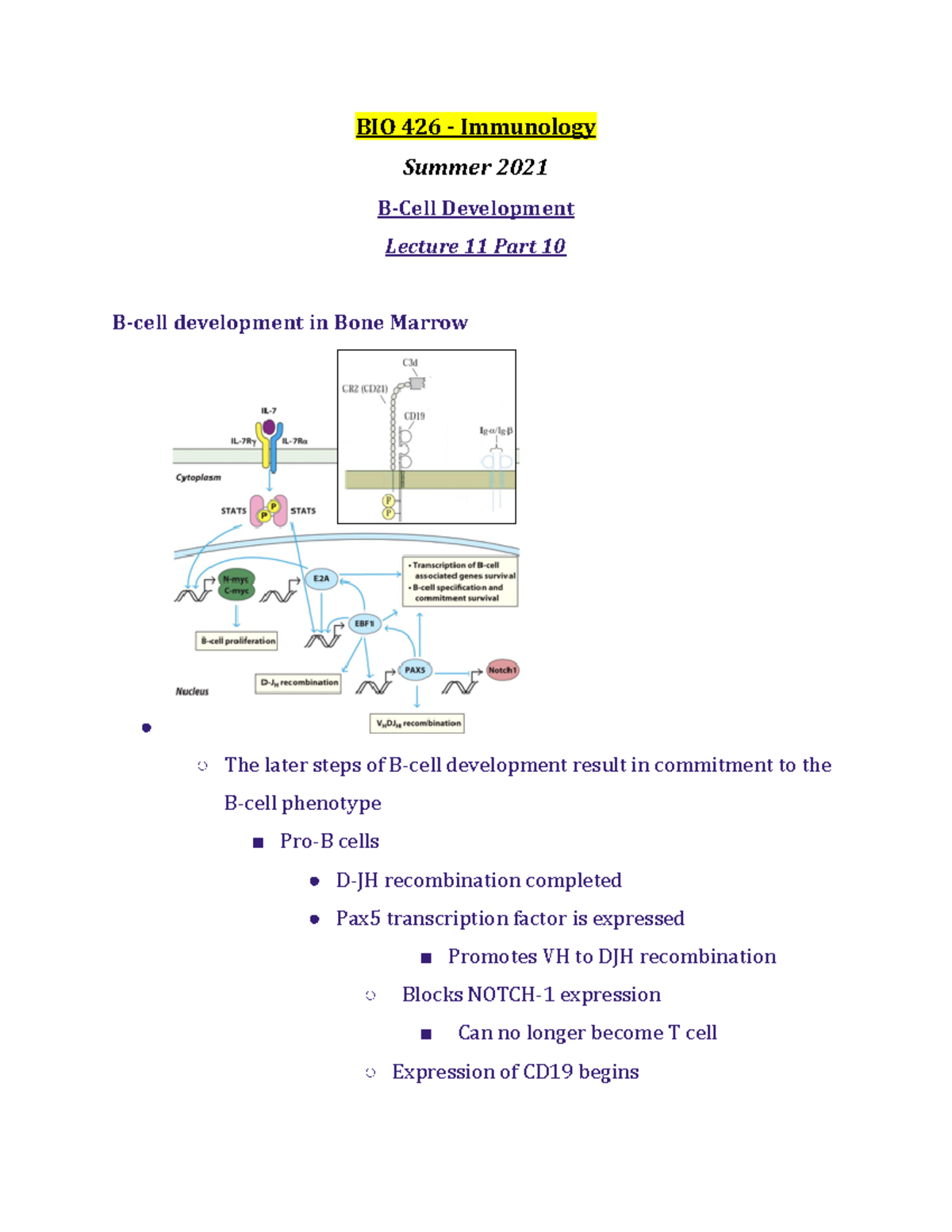 BIO 426 Lecture 11 Part 10 - Summer 2021 - BIO 426 - Studocu