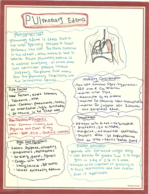 Case study 2 - Pneumonia-COPD Joan Walker, 84 years old Primary Concept ...