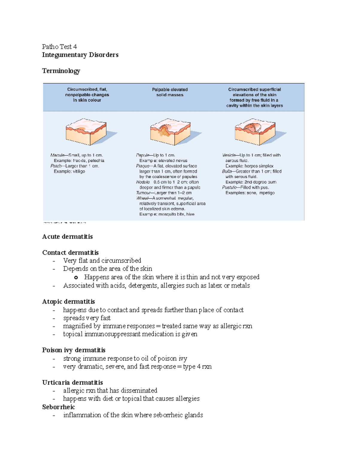 Patho Test 4 - test 4 notes - Patho Test 4 Integumentary Disorders ...