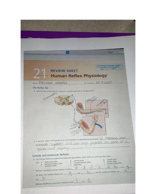 Chapter 17 Review Sheet Human Anatomy And Physiology - BIOL 243 - Studocu