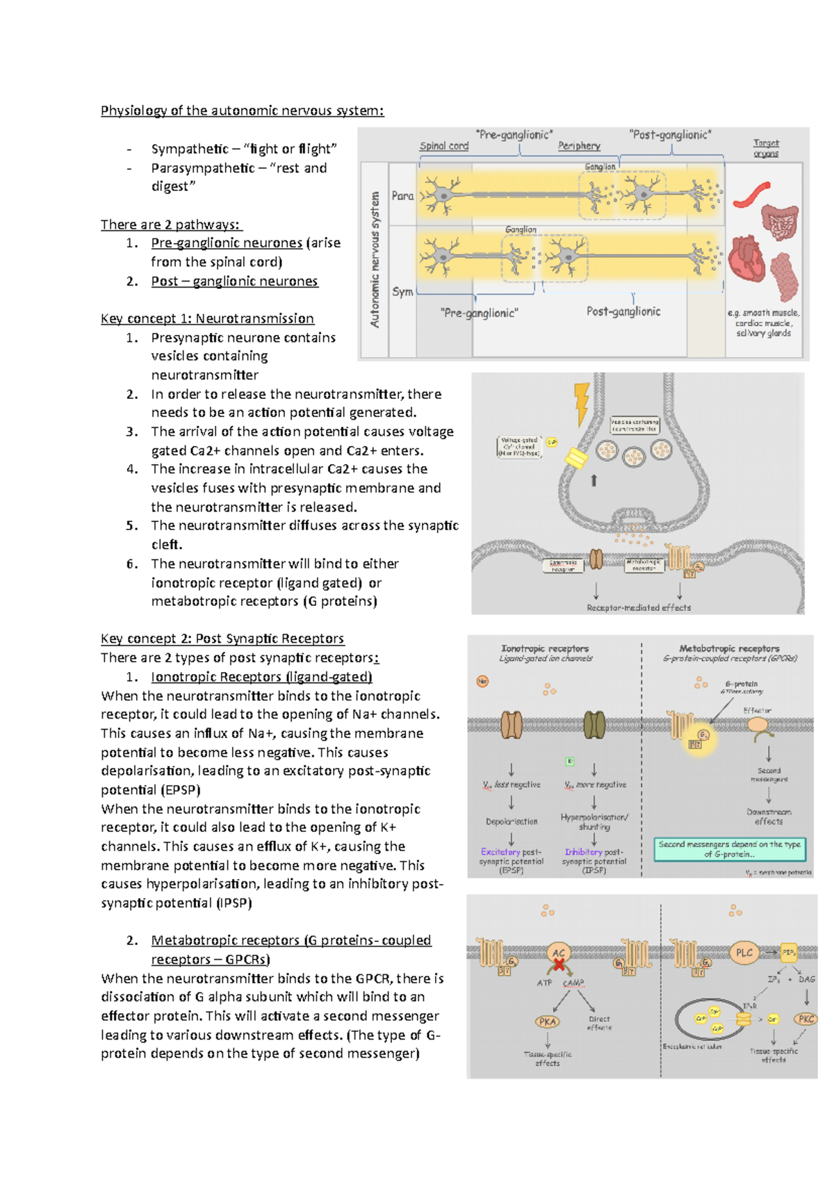 Physiology of the autonomic nervous system - Physiology of the ...