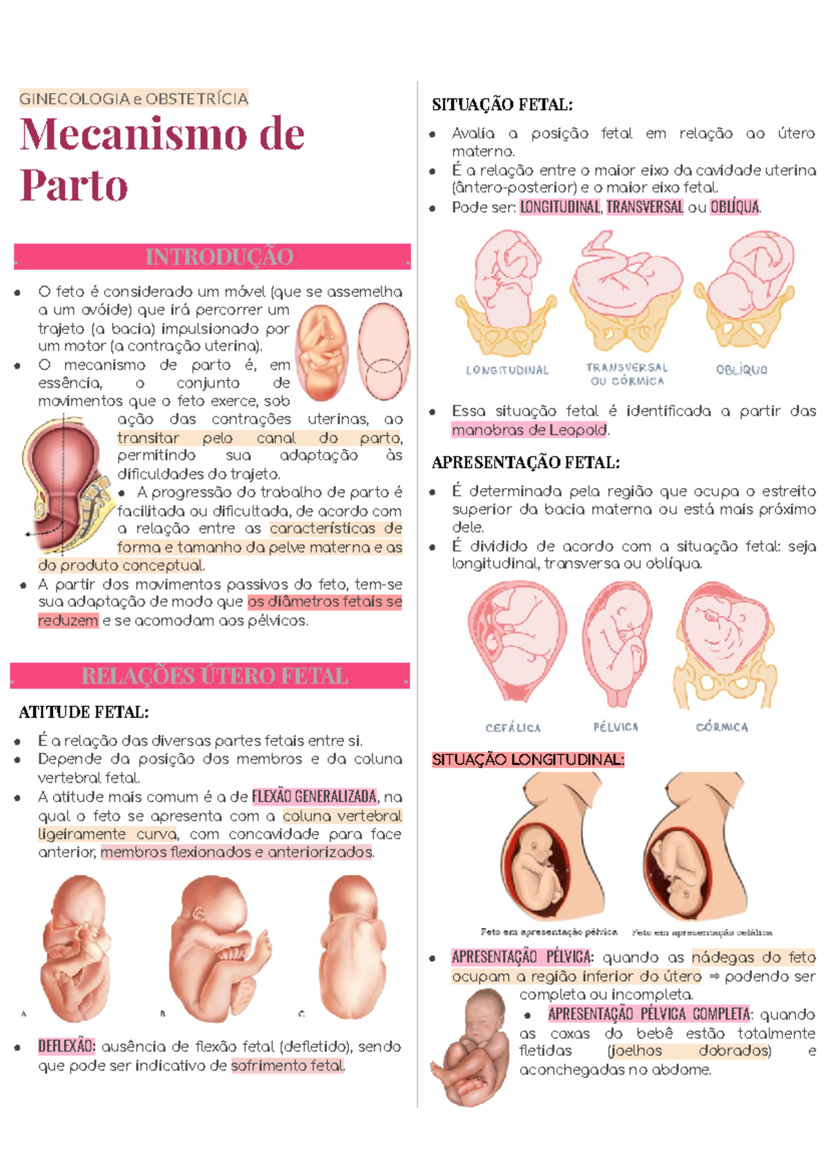 Mecanismo de parto 230926 195609 - GINECOLOGIA e OBSTETRÍCIA Mecanismo ...