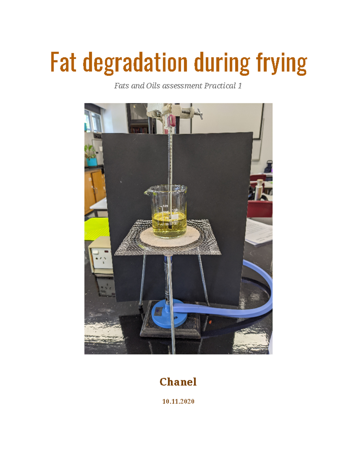 Fats and oils Report Google Docs Fat degradation during frying Fats
