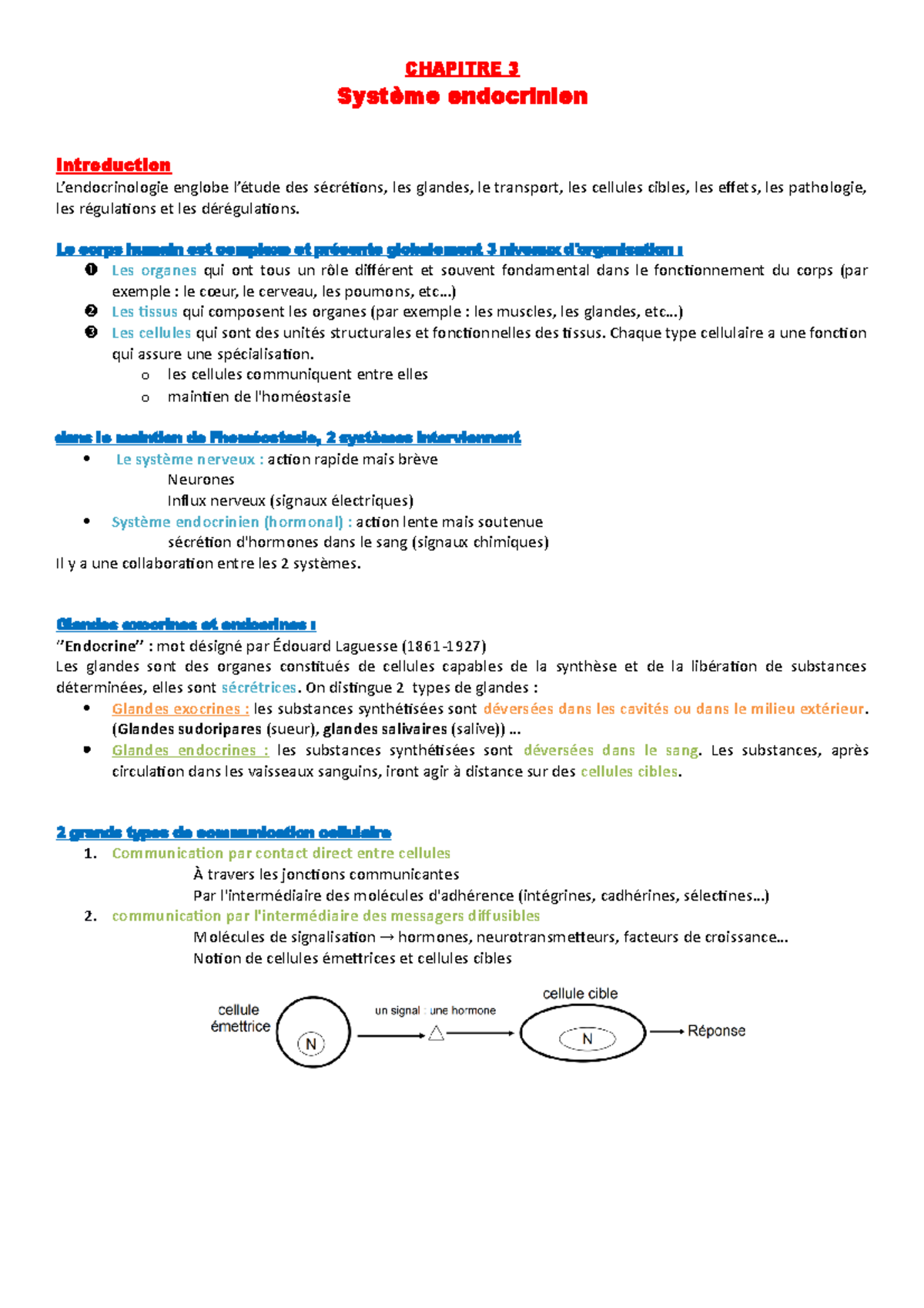 Chap3 système endocrinien - CHAPITRE 3 Système endocrinien Introduction ...