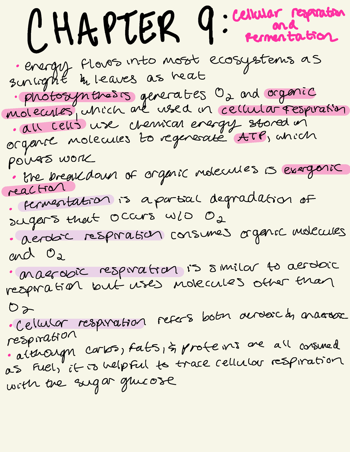 BSC2010 Cellular Respiration - CHAPTER 9 : Cellular Respirator And ...