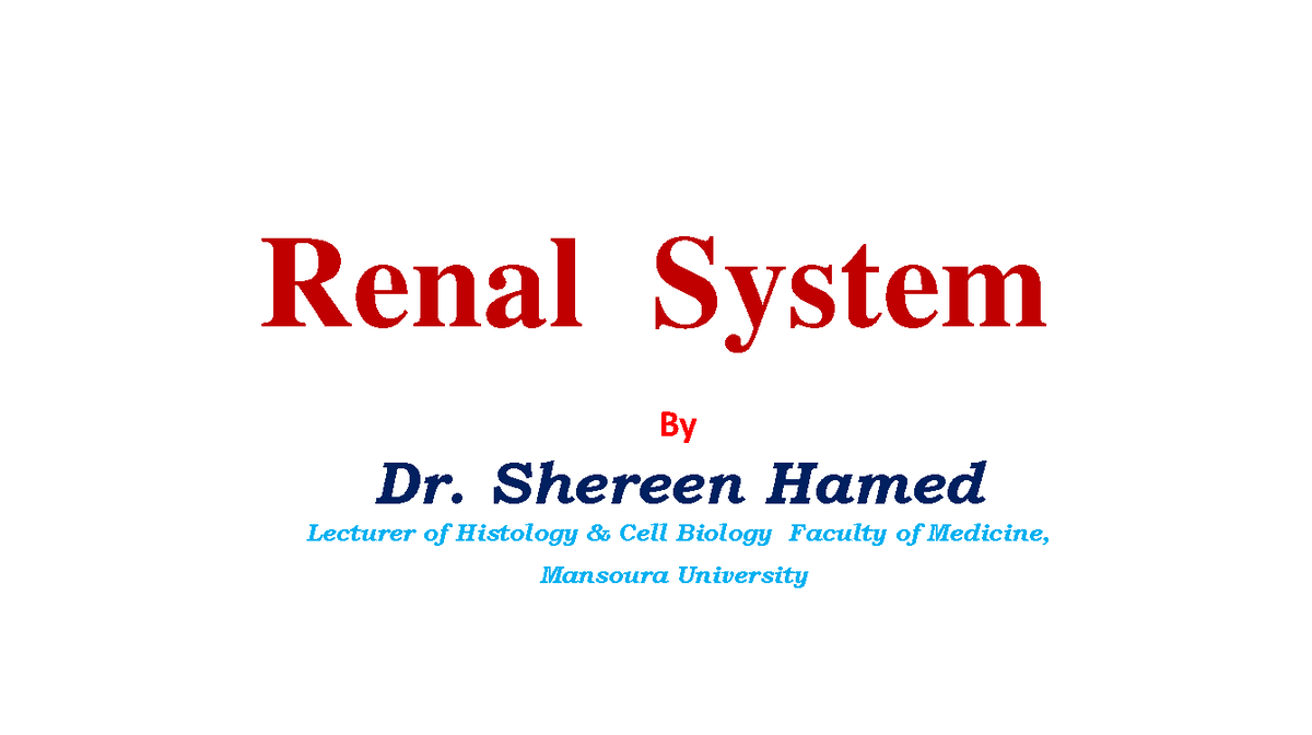 Renal system 1 2021 - a lecture note - Renal System By Dr. Shereen ...