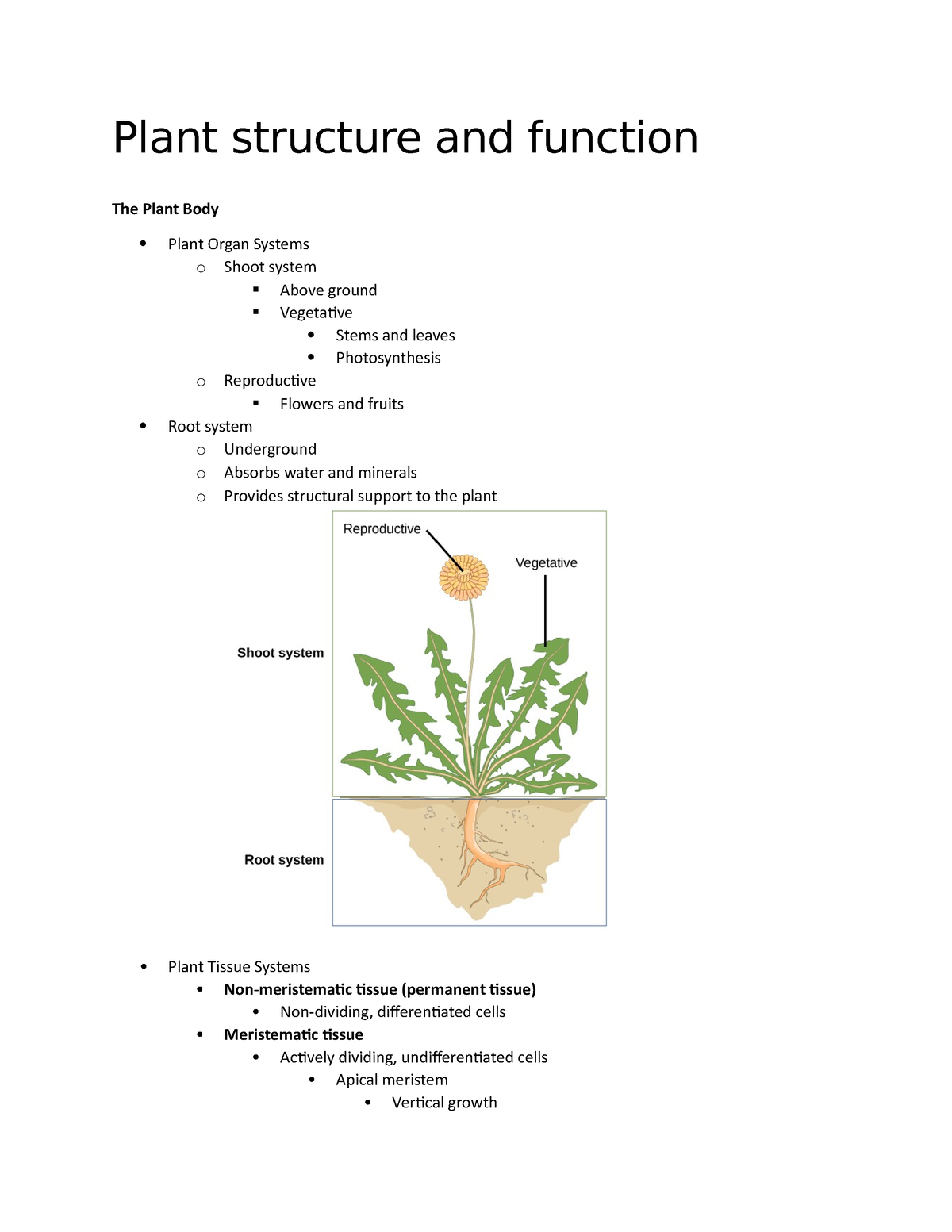 organ system of plants