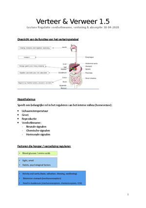 Introductie Anatomie Van De Tractus Digestivus - Verteer & Verweer 1 ...