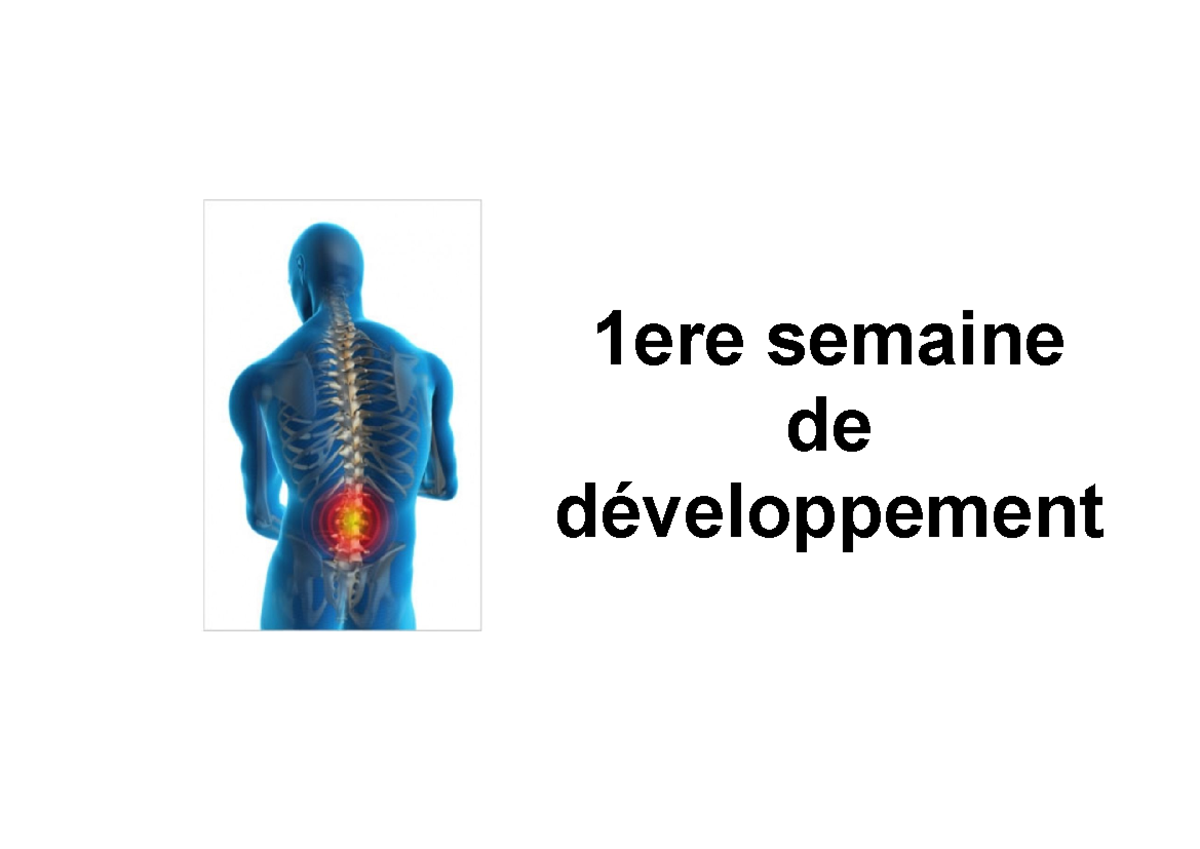 Embryo sem1 - Diapos - 1ere semaine de développement ...
