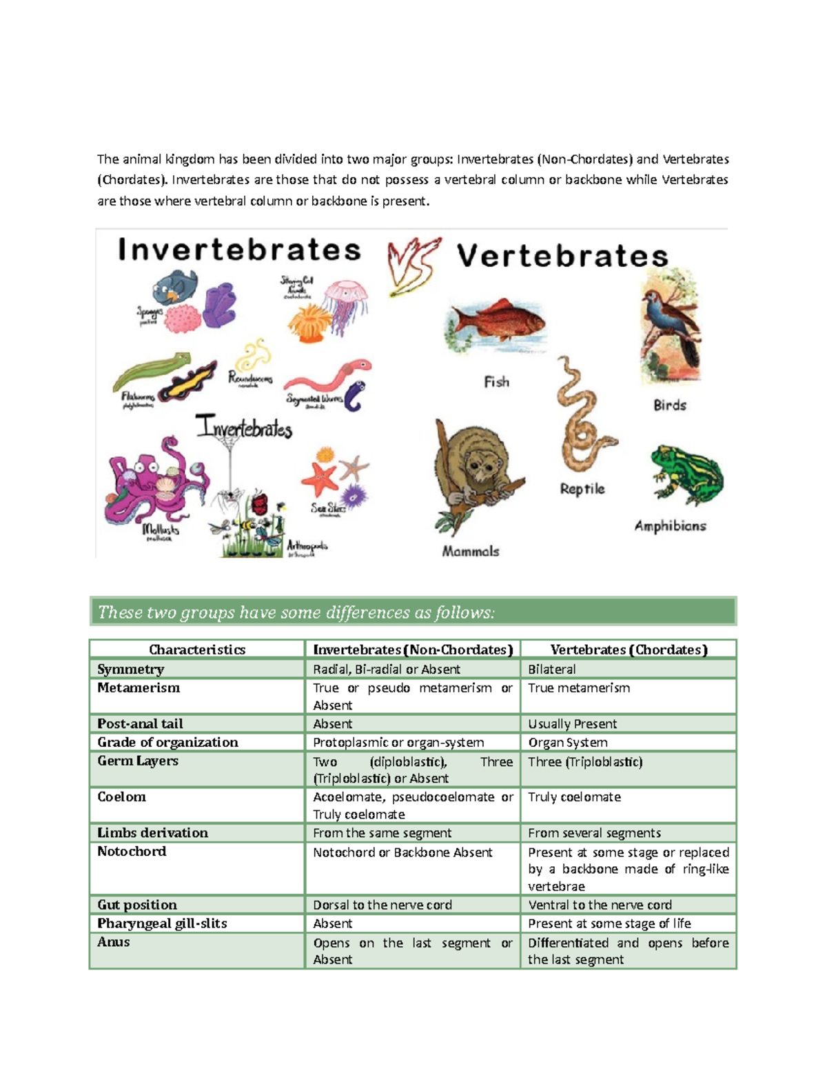 Invertebrates VS Vertebrates - Invertebrates are those that do not ...